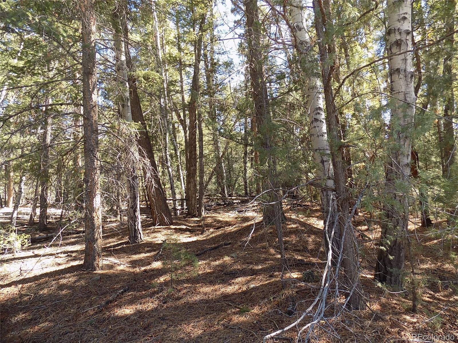 Zapata Ct Lot 4, Mosca, CO 81146