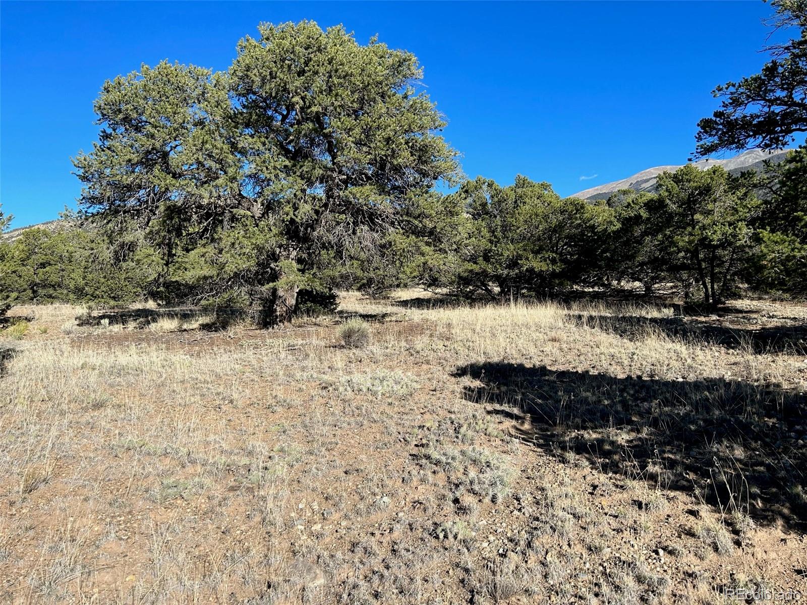 103 Indian Hill Rd, Mosca, CO 81146