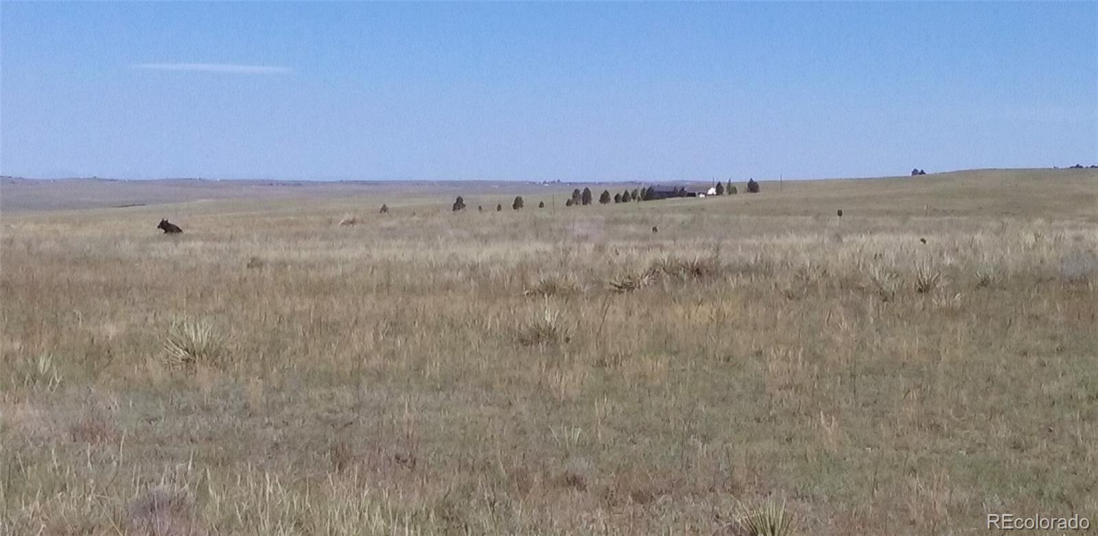 12115 St Hwy 86 Hw, Kiowa, CO 80117