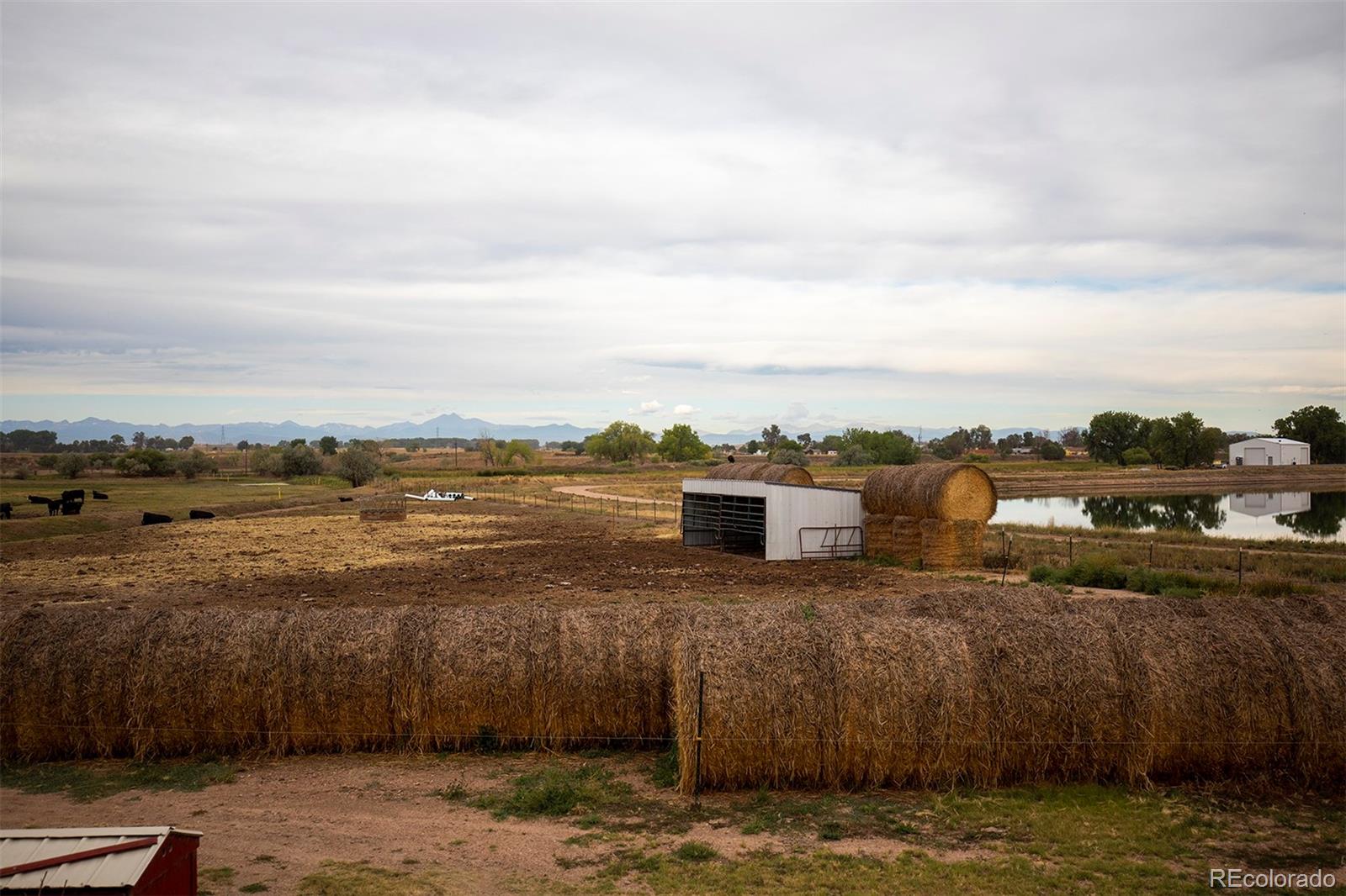 8995 County Road 25, Fort Lupton, CO 80621