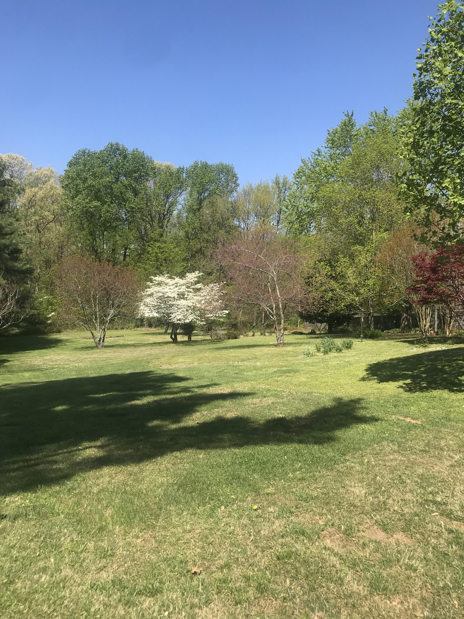 1906 Lake Rd, Greenbrier, TN 37073