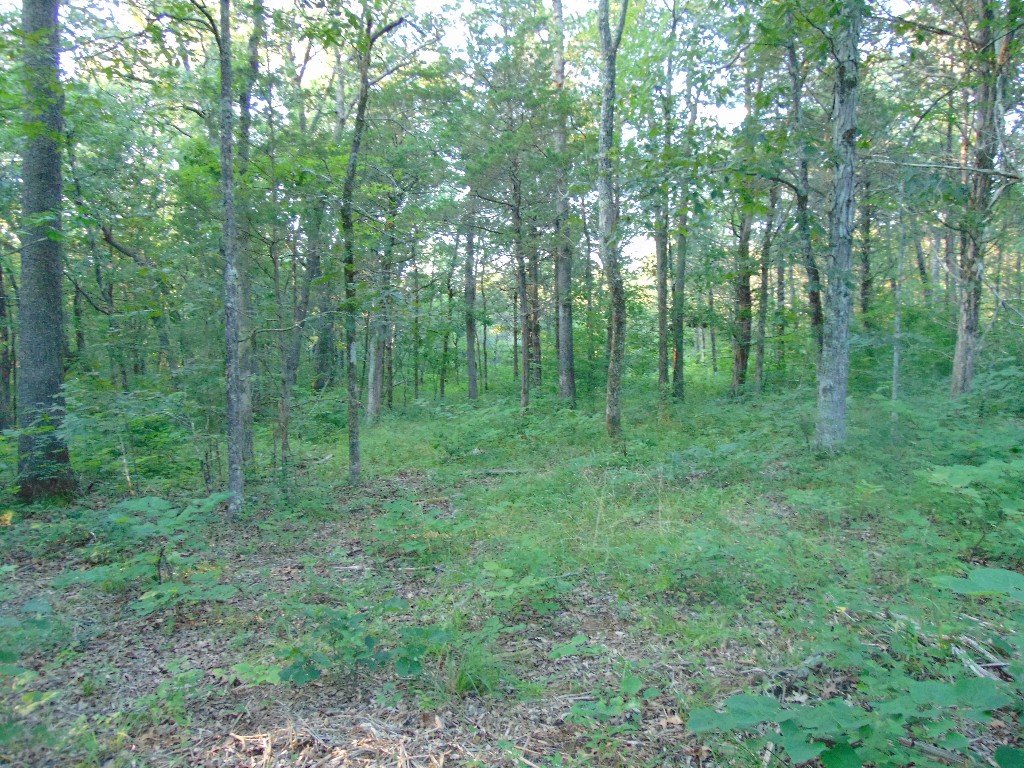 0 Jennings Pond Rd, Lebanon, TN 37090