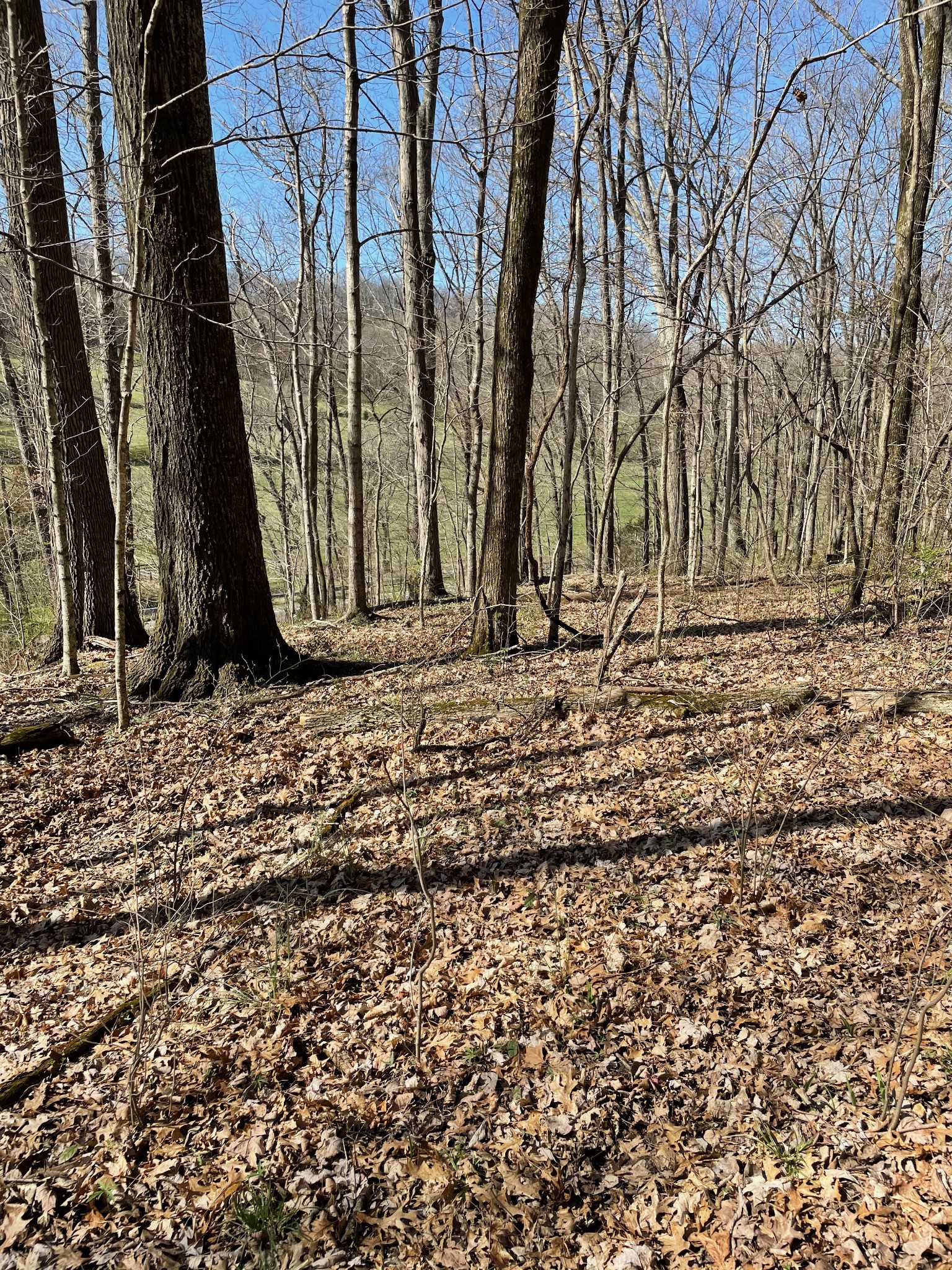 2057 Hillsboro, Franklin, TN 37069