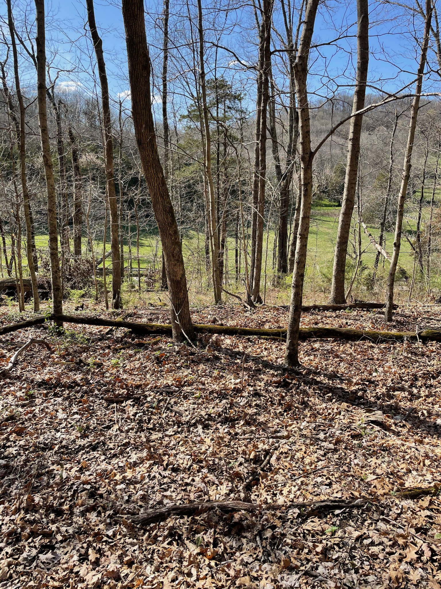 2057 Hillsboro, Franklin, TN 37069