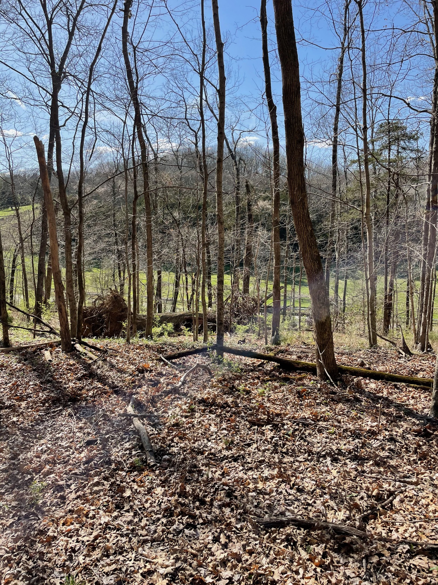 2057 Hillsboro, Franklin, TN 37069