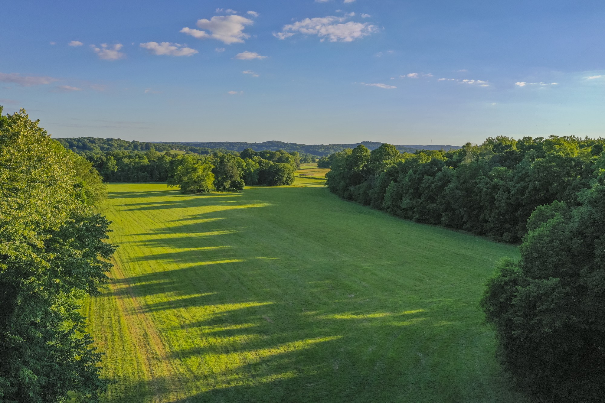 6330 Cox Rd, Arrington, TN 37014