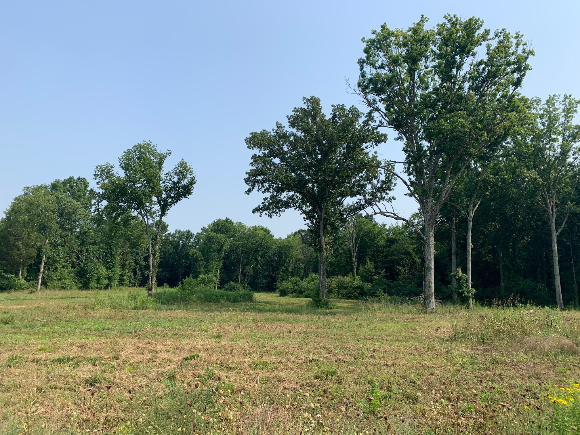 0 Long Creek Dr, Christiana, TN 37037