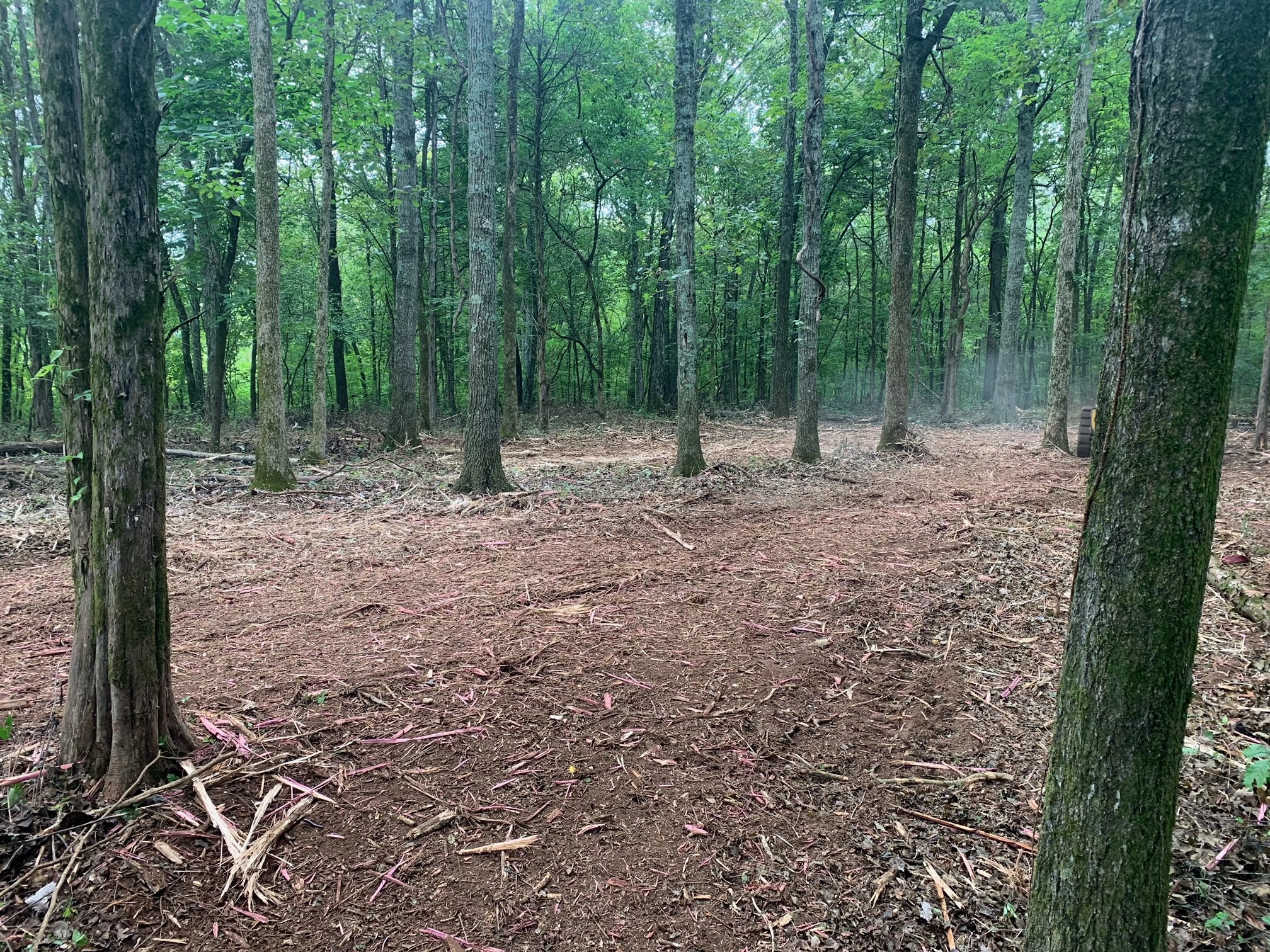 0 Long Creek Dr, Christiana, TN 37037