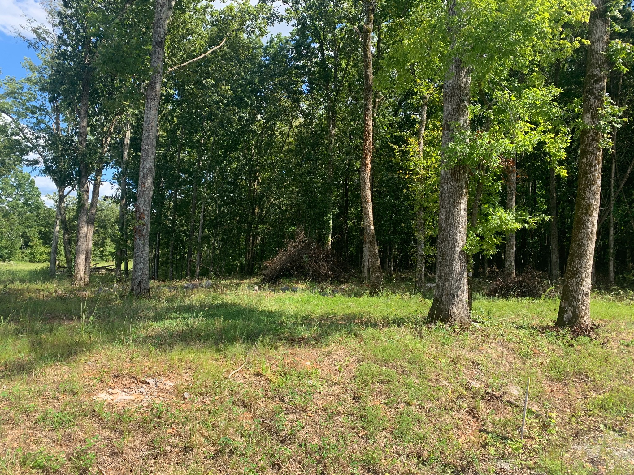 0 Long Creek Dr, Christiana, TN 37037