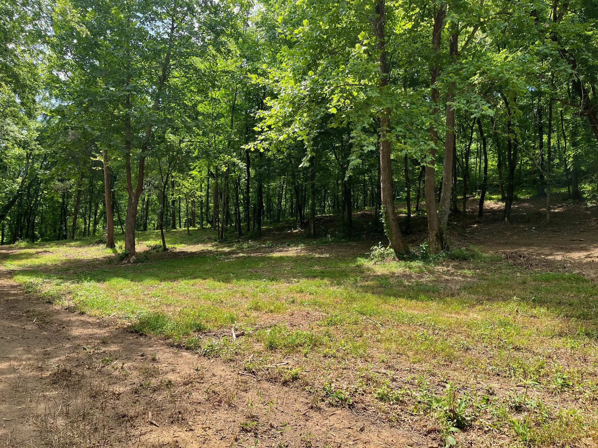 135 Dillehay Hollow Rd, Pleasant Shade, TN 37145