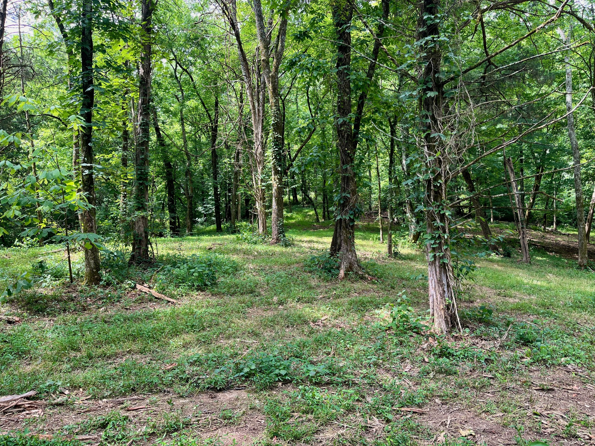 135 Dillehay Hollow Rd, Pleasant Shade, TN 37145