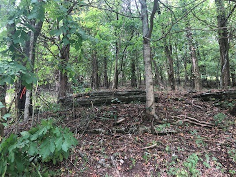 0 Allison Hollow Ln, Carthage, TN 37030