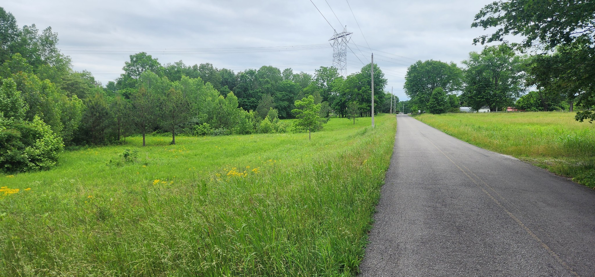 3147 Old New Cut Rd, Springfield, TN 37172