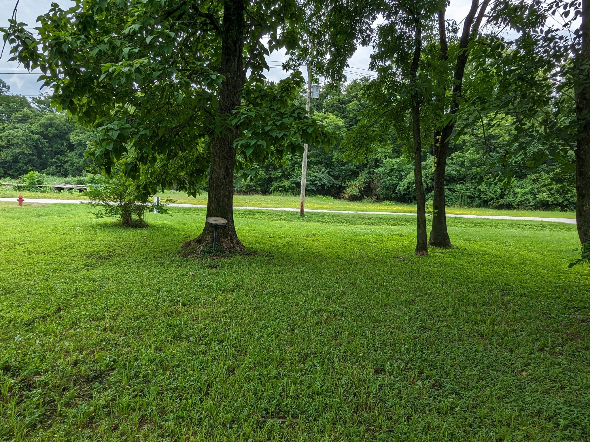 214 Boswell St, Mount Pleasant, TN 38474