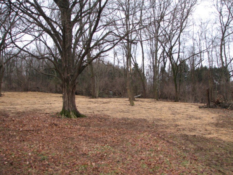 1311 Huffines Ridge Dr, Franklin, TN 37067