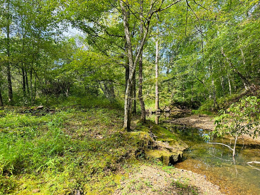 0 Barbecue Rd, Dickson, TN 37055