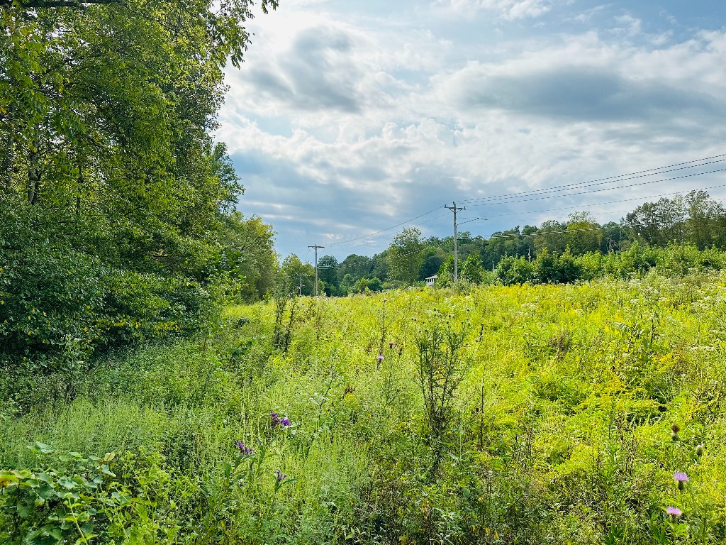 0 Barbecue Rd, Dickson, TN 37055
