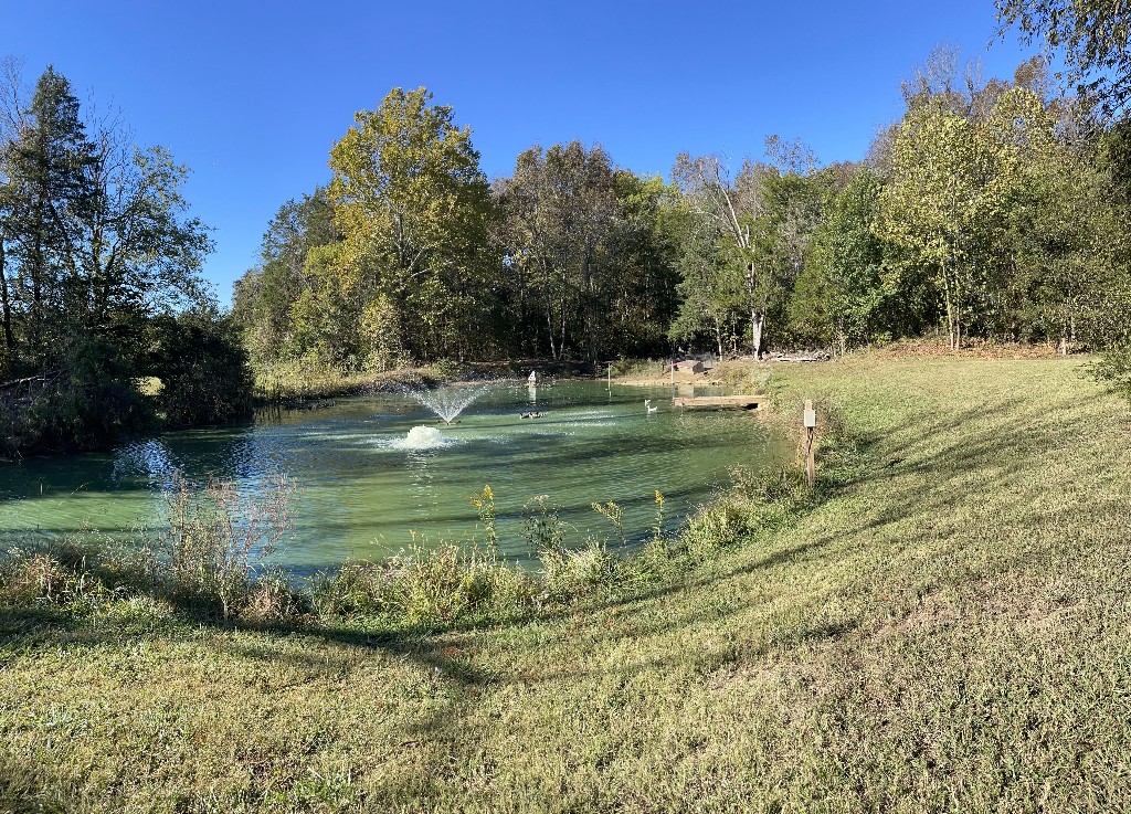 7850 Midland Rd, Christiana, TN 37037