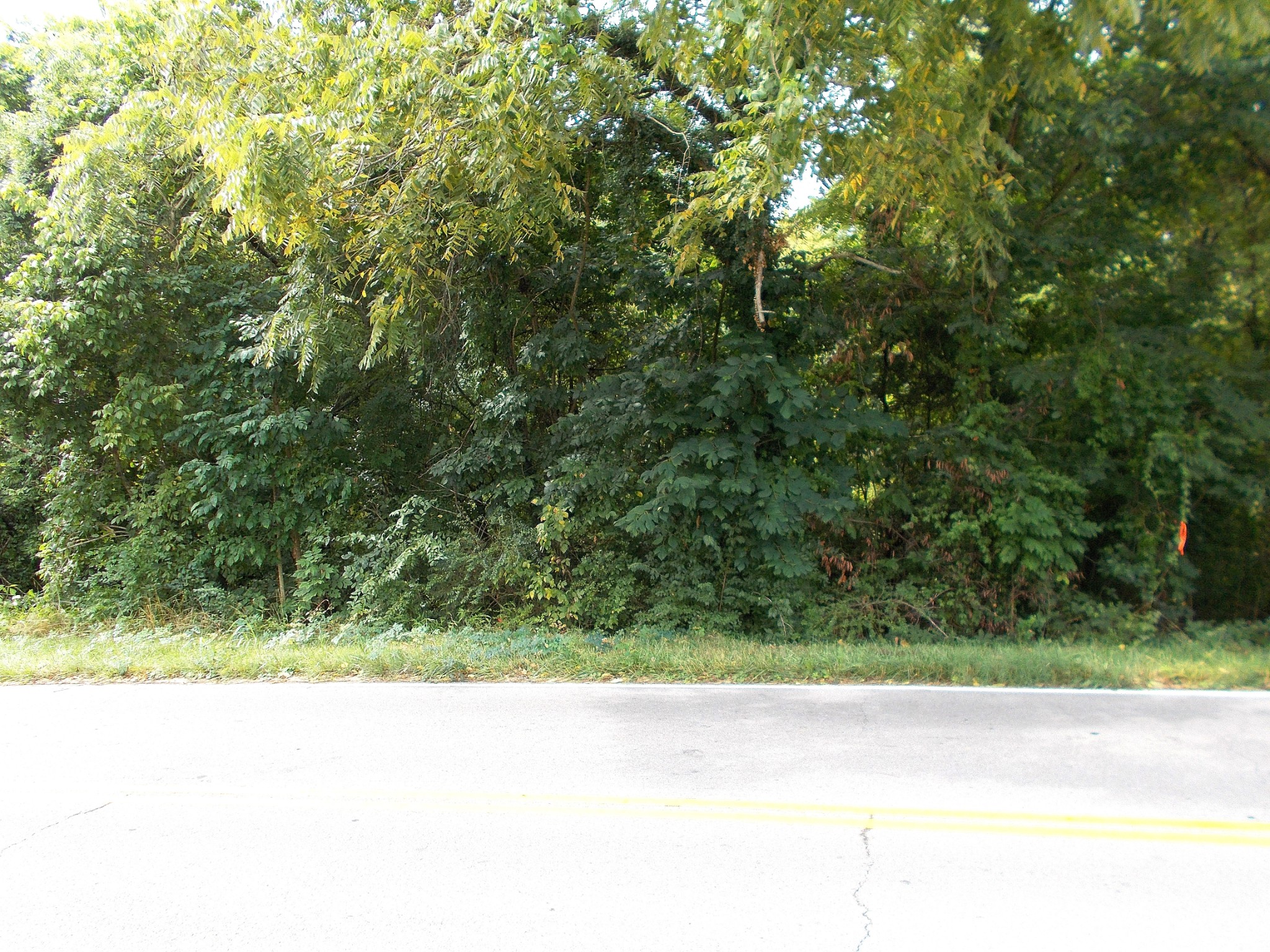 0 W Walnut St, Dickson, TN 37055