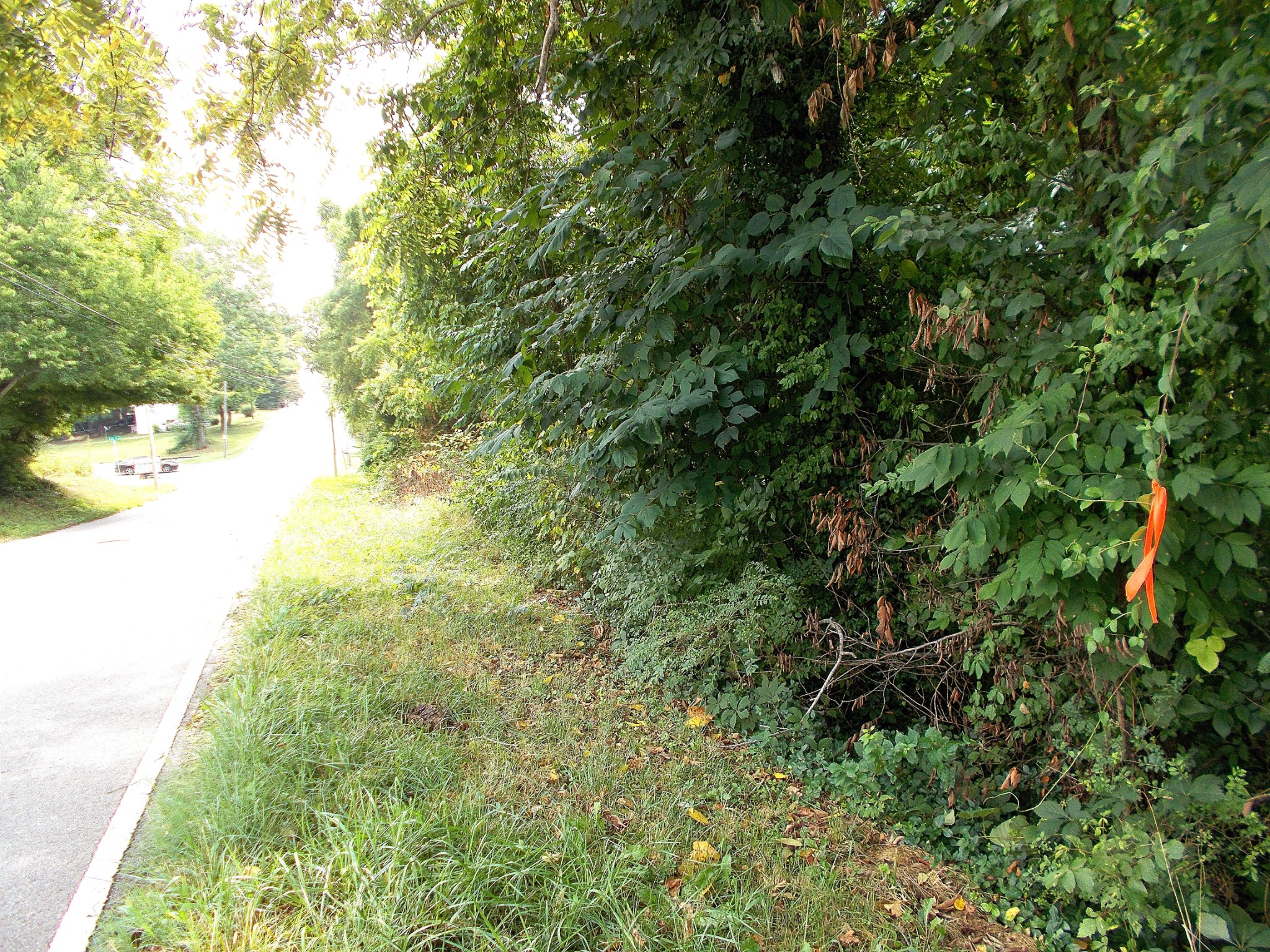0 W Walnut St, Dickson, TN 37055