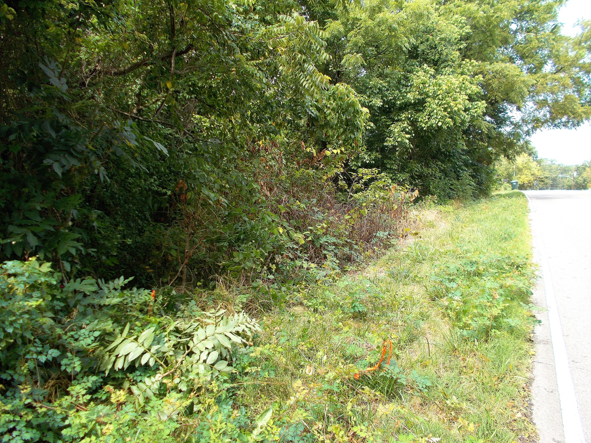 0 W Walnut St, Dickson, TN 37055