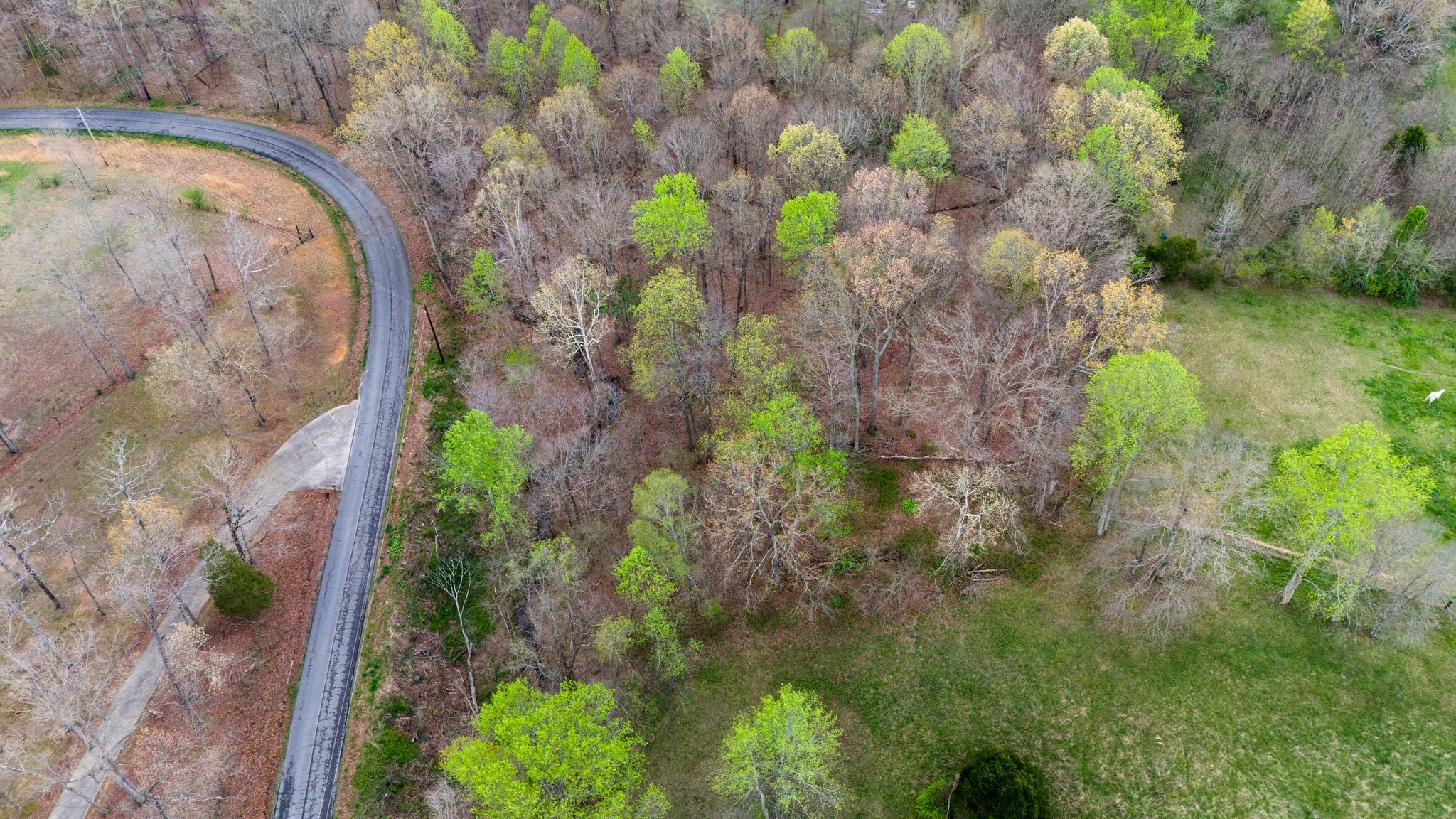 0 Town Branch Rd Lot 5, Charlotte, TN 37036