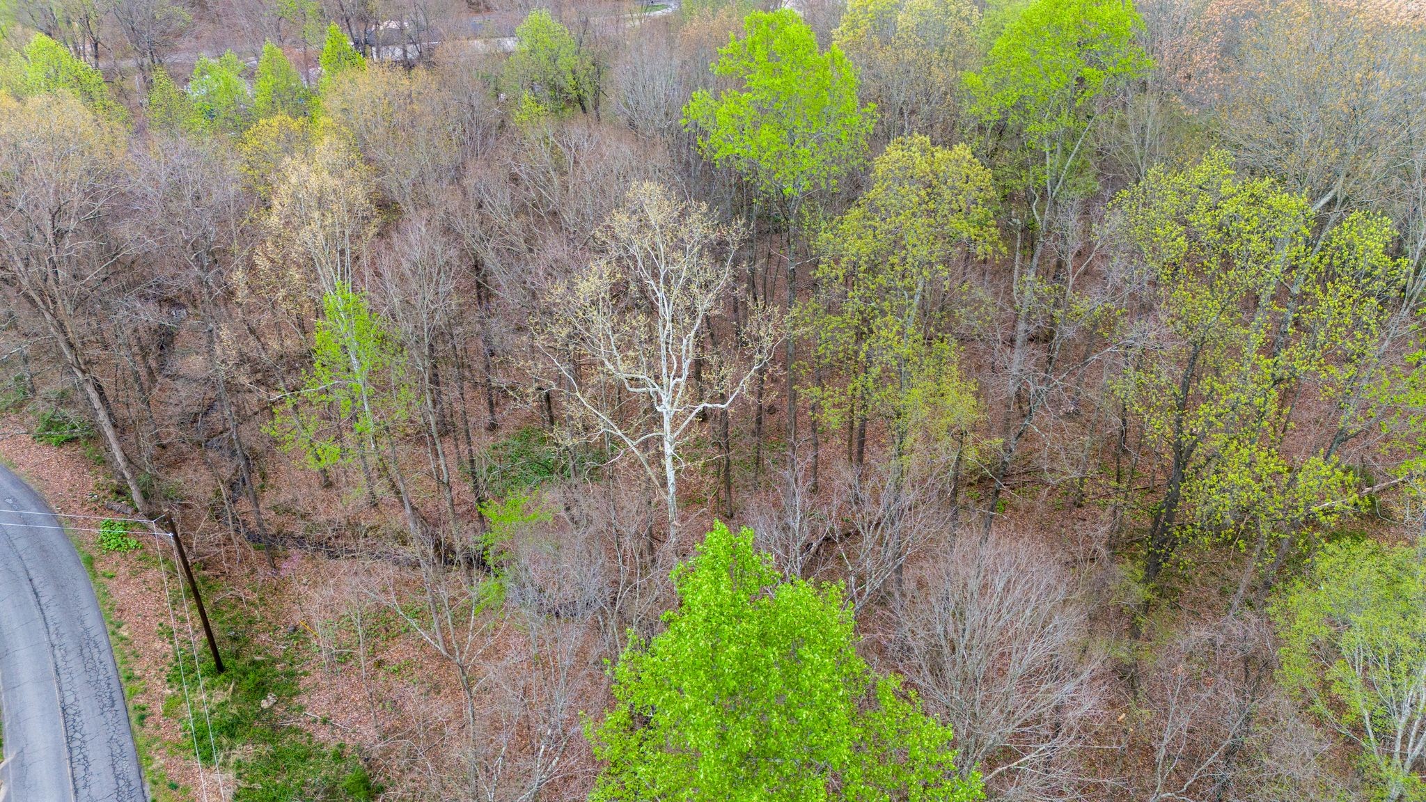 0 Town Branch Rd Lot 5, Charlotte, TN 37036