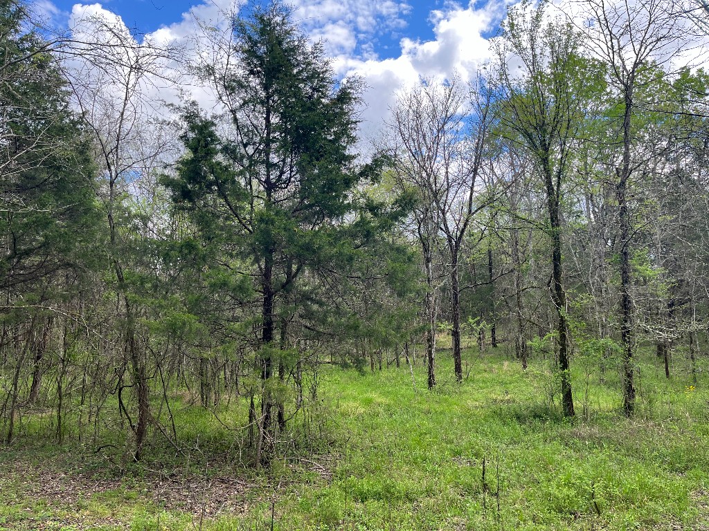 777 Holly Grove Rd, Lascassas, TN 37085