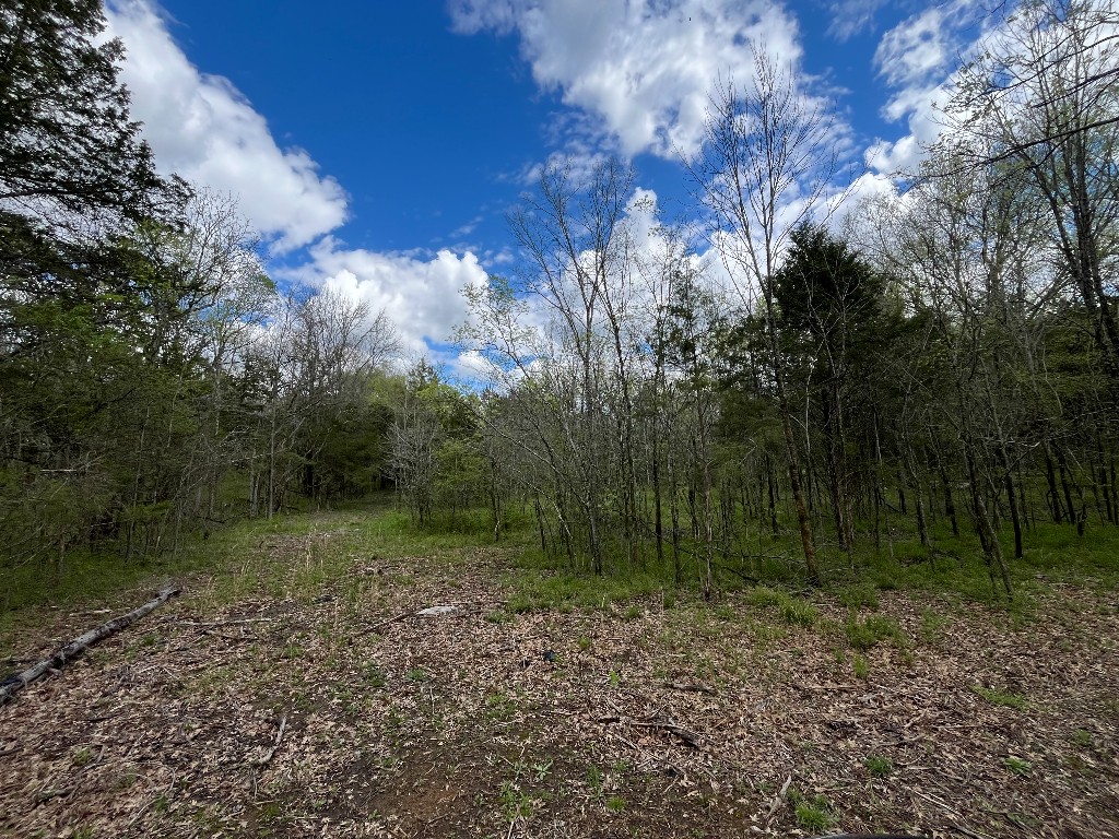 777 Holly Grove Rd, Lascassas, TN 37085