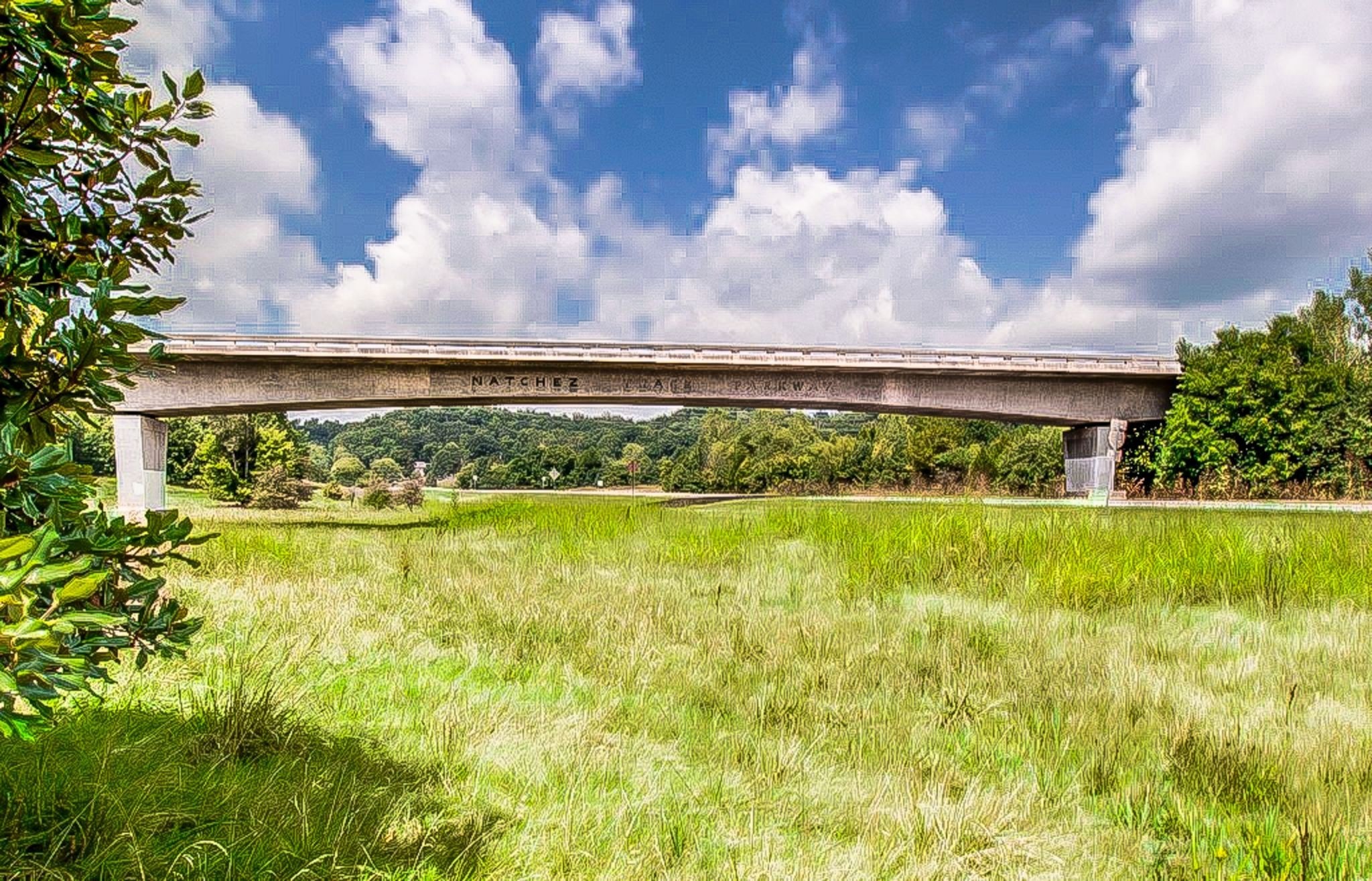 703 Dove Valley Ct, Nashville, TN 37221