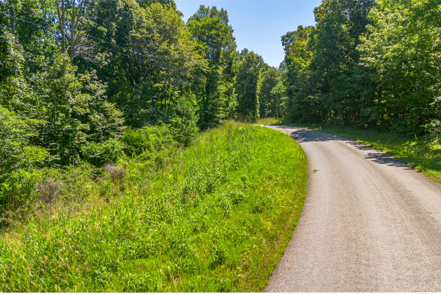 0 Chestnut Ridge Rd, Santa Fe, TN 38482
