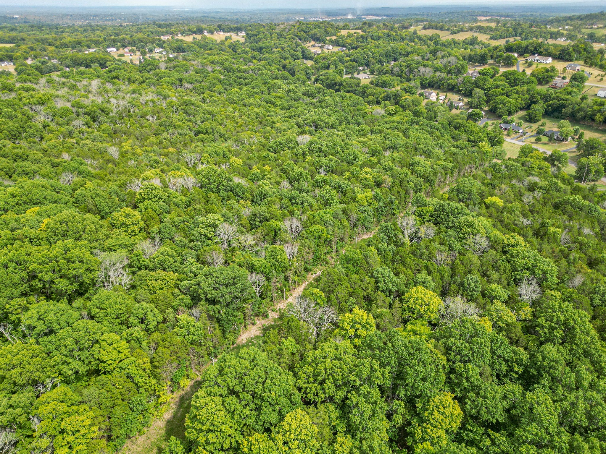 0 Cliff Amos Road N Of Tn, Spring Hill, TN 37174