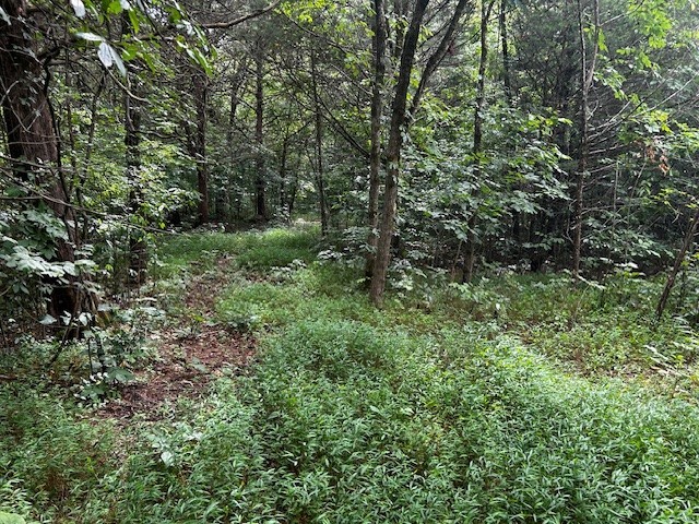 0 Holly Grove Rd, Lascassas, TN 37085