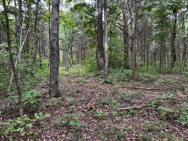 0 Holly Grove Rd, Lascassas, TN 37085
