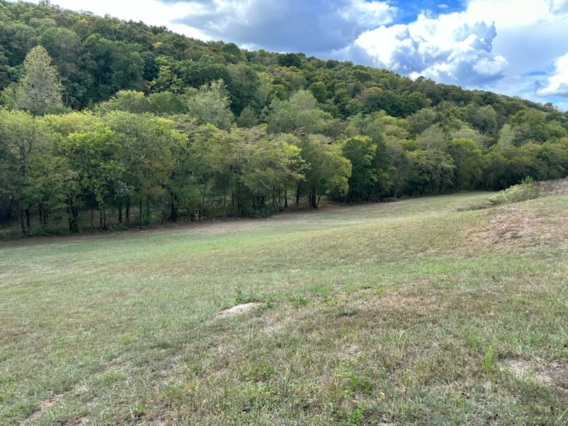 0 John Donald Ln, Brush Creek, TN 38547