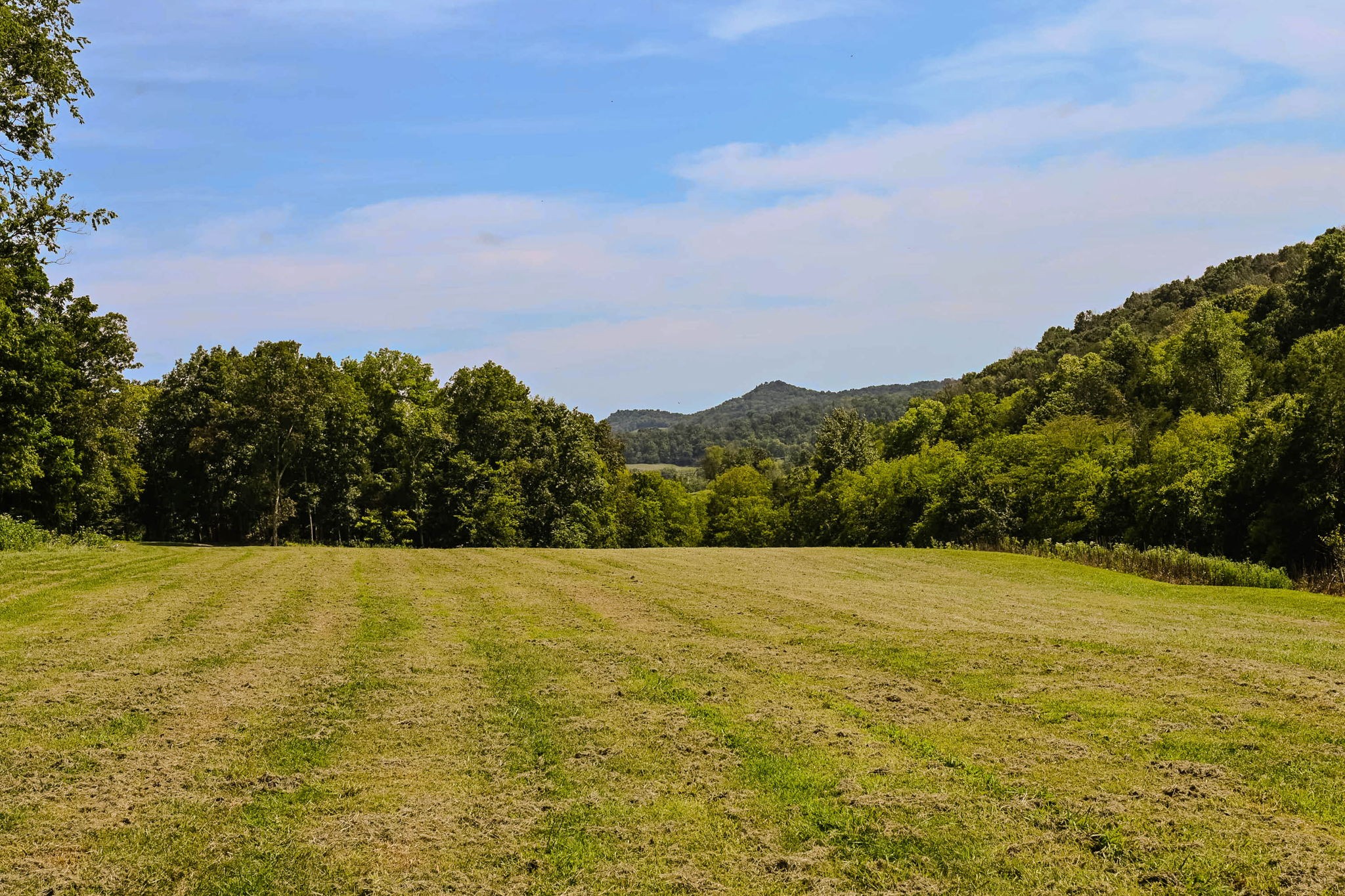 0 John Donald Ln, Brush Creek, TN 38547