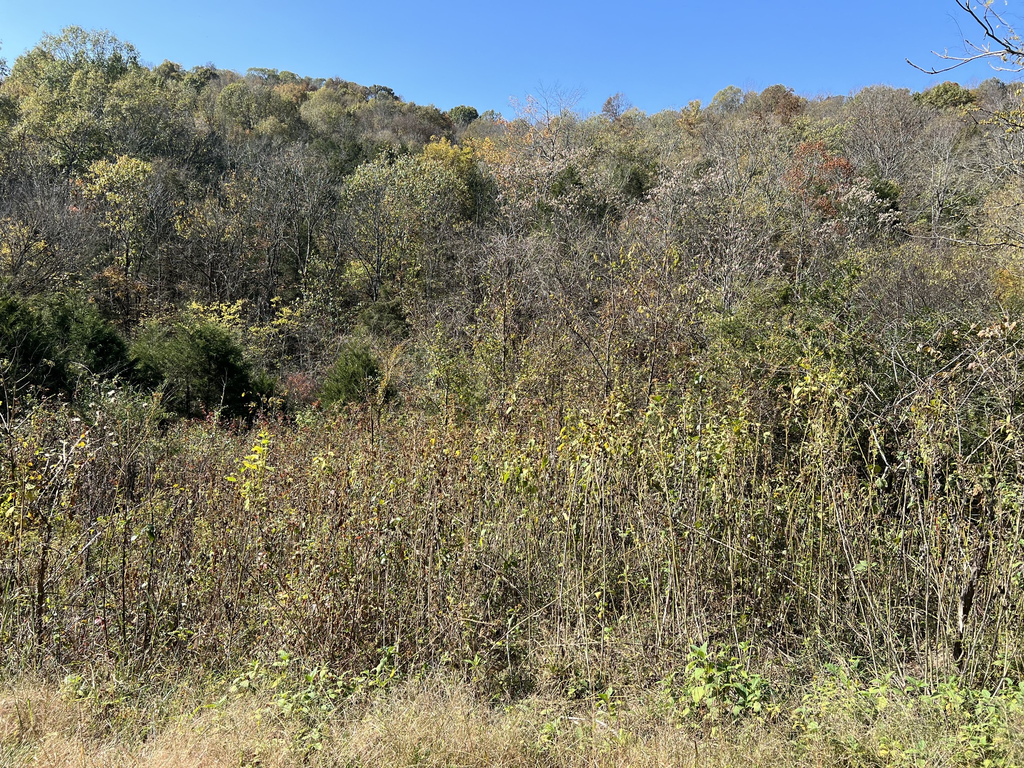 0 Reece Hollow Rd Lot 2 & 4, Carthage, TN 37030