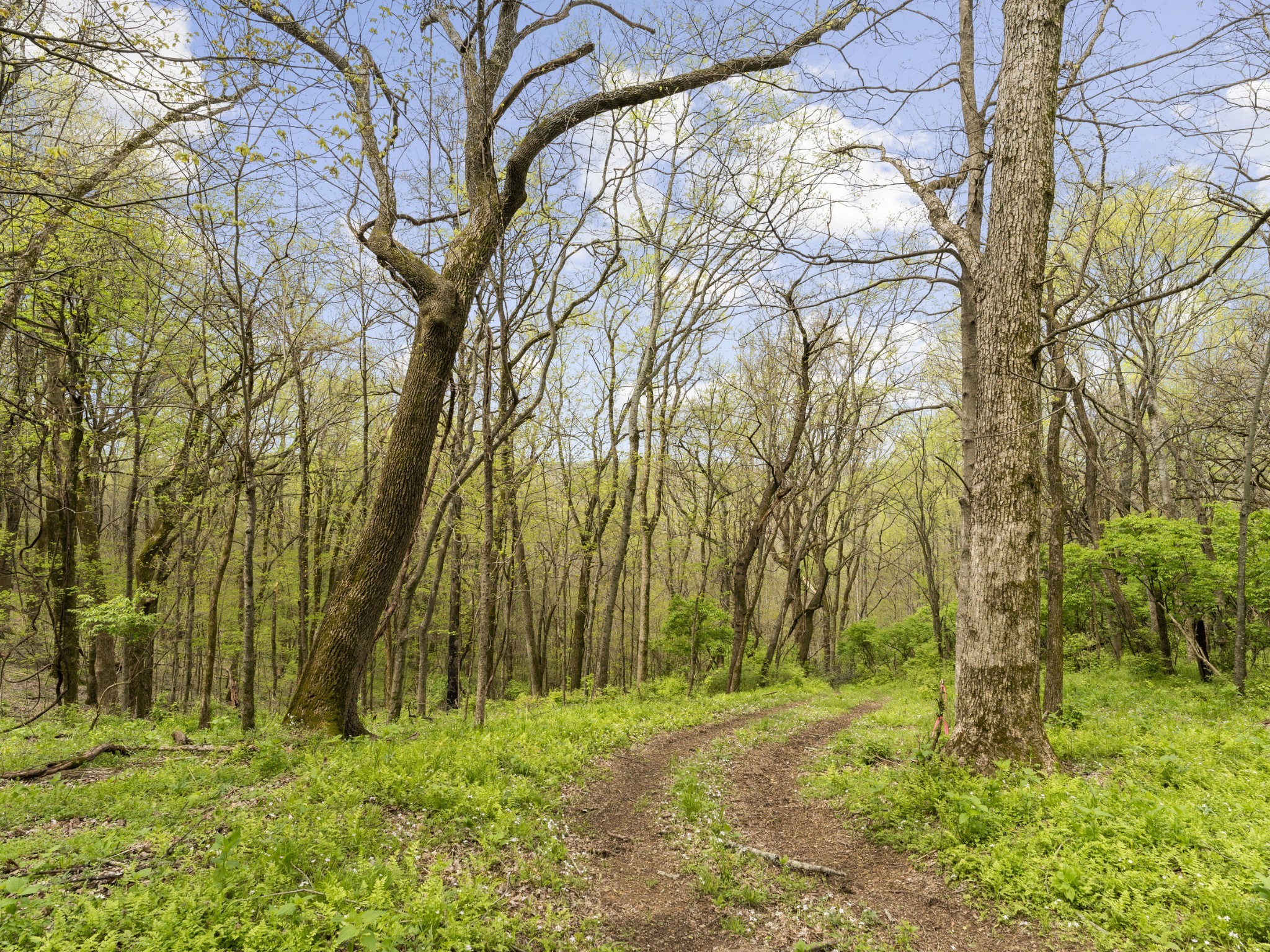 0 Vaughn Rd Lot 11-12, Franklin, TN 37069