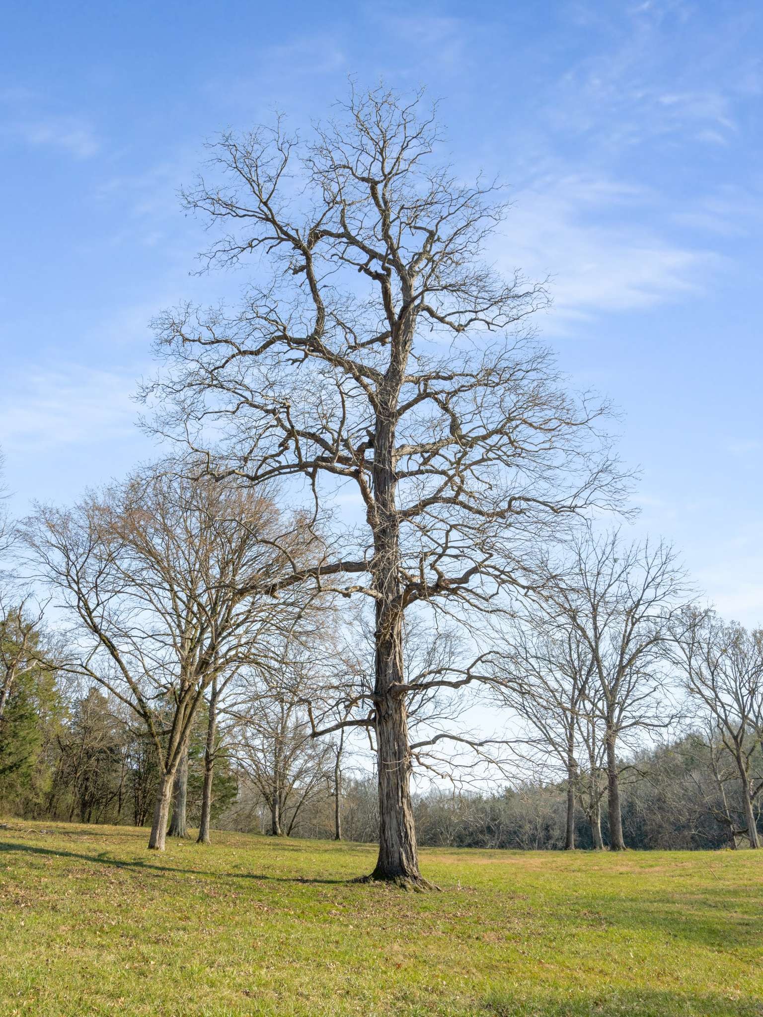 0 Vaughn Rd Lot 11-12, Franklin, TN 37069