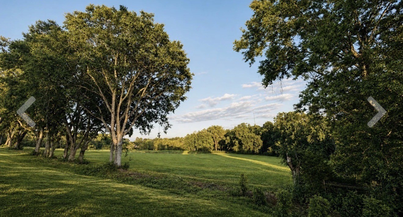 0 Nolensville Rd Lot 2, Arrington, TN 37014