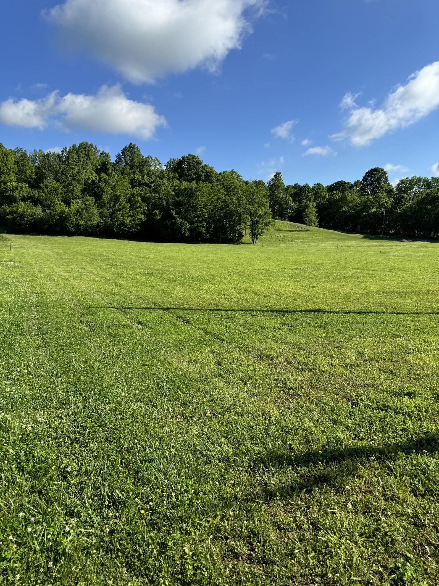 5946 Greenvale Rd, Watertown, TN 37184