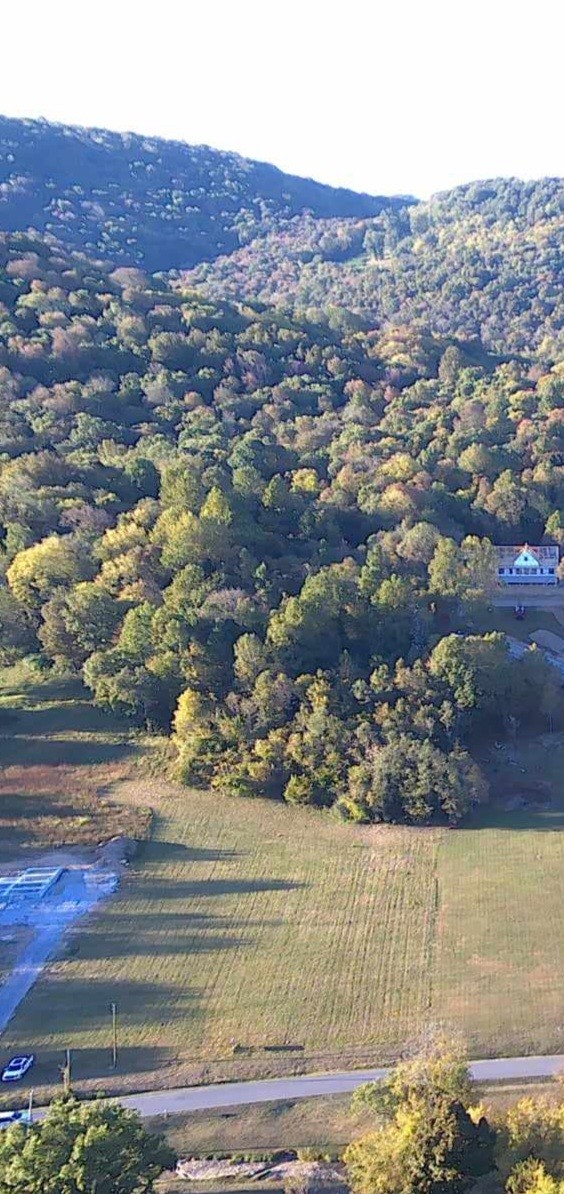 5946 Greenvale Rd, Watertown, TN 37184