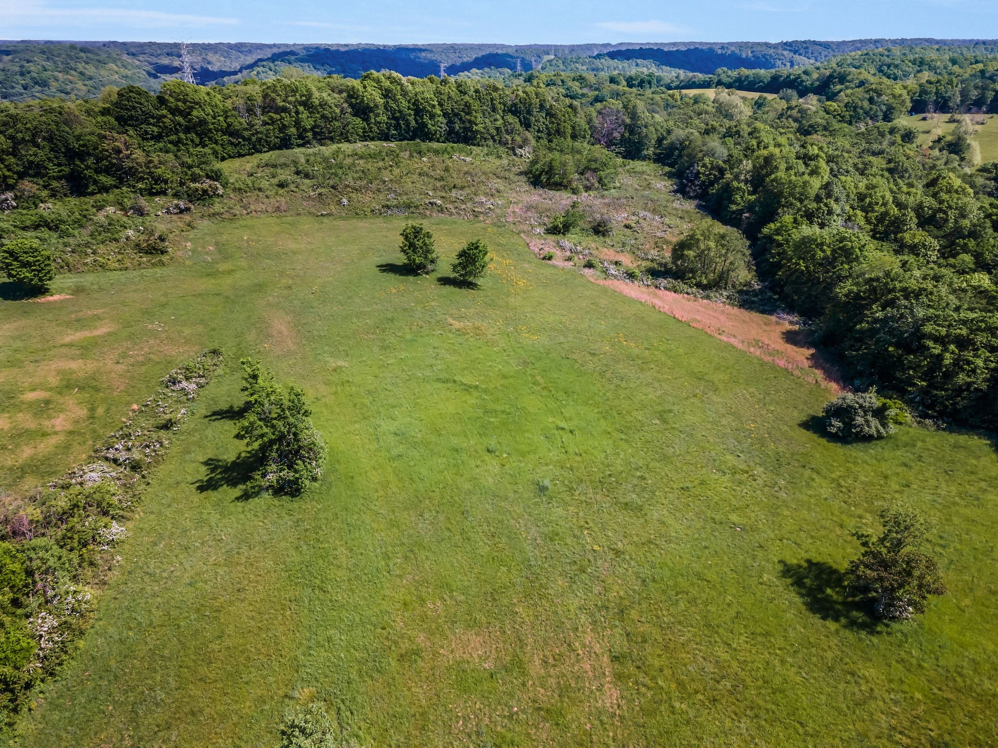 8475 Crawley Hill Rd, Mount Pleasant, TN 38474