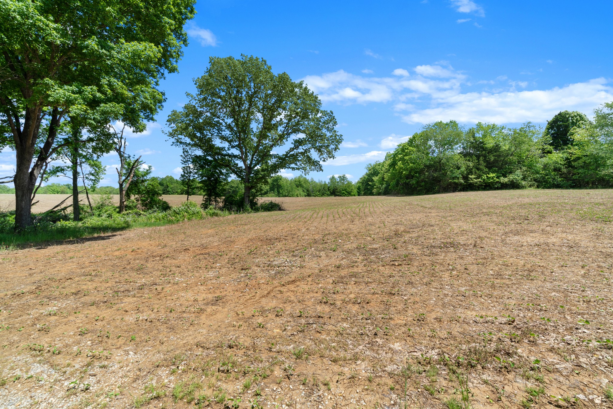 1 Tom Austin Hwy, Springfield, TN 37172