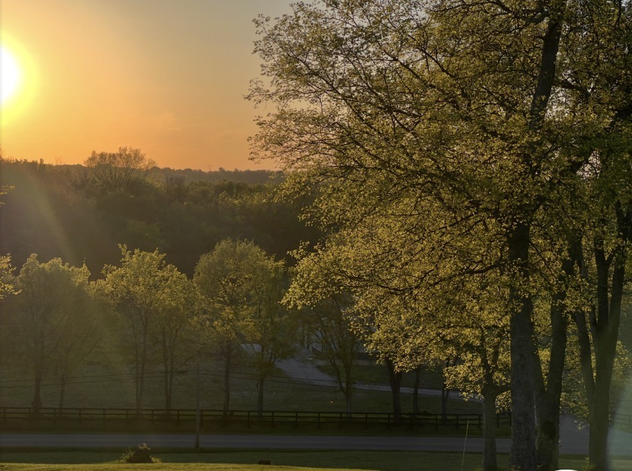8025 Dry Creek Rd, Mount Pleasant, TN 38474