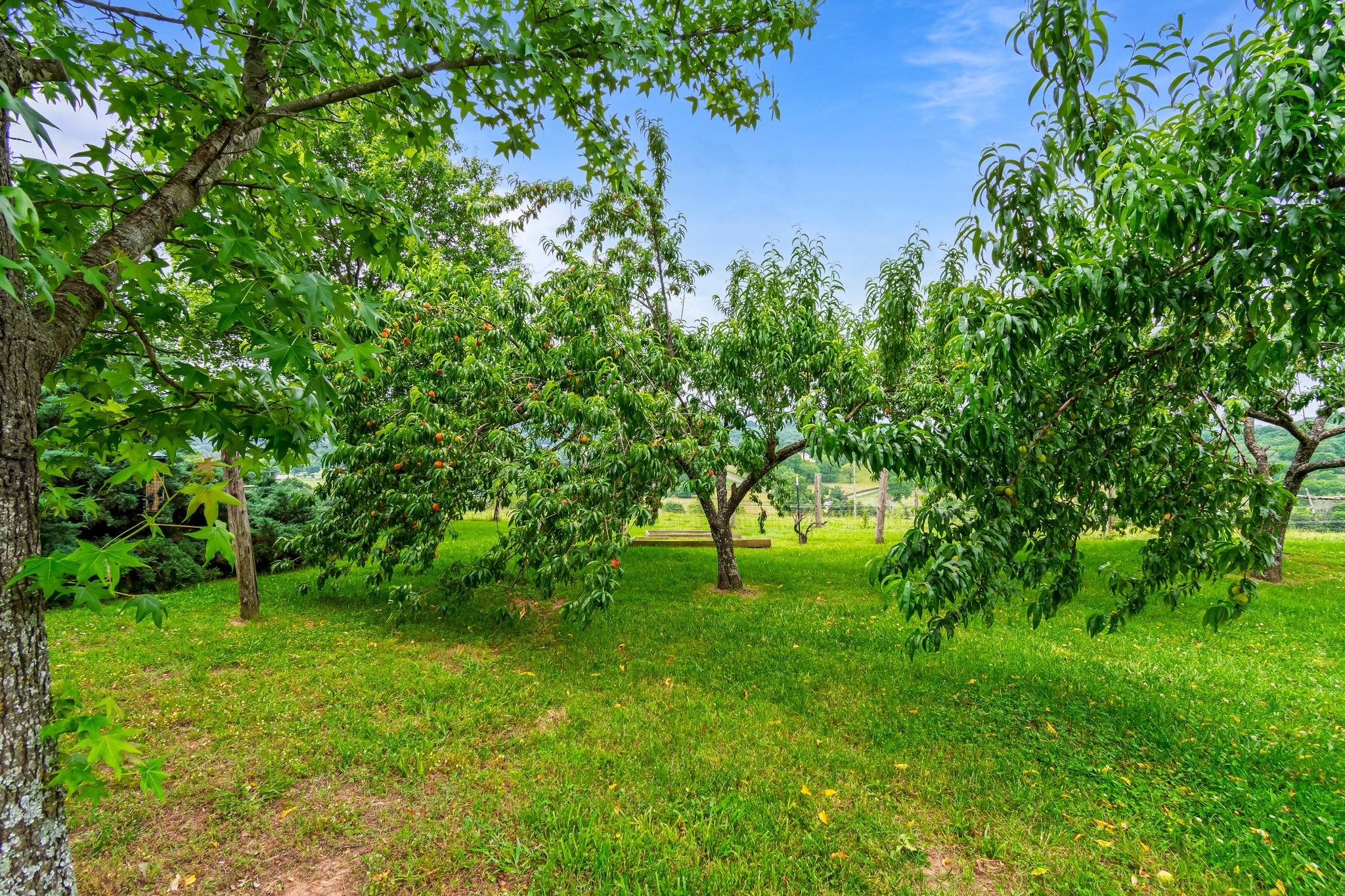 4540 Peytonsville Rd, Franklin, TN 37064