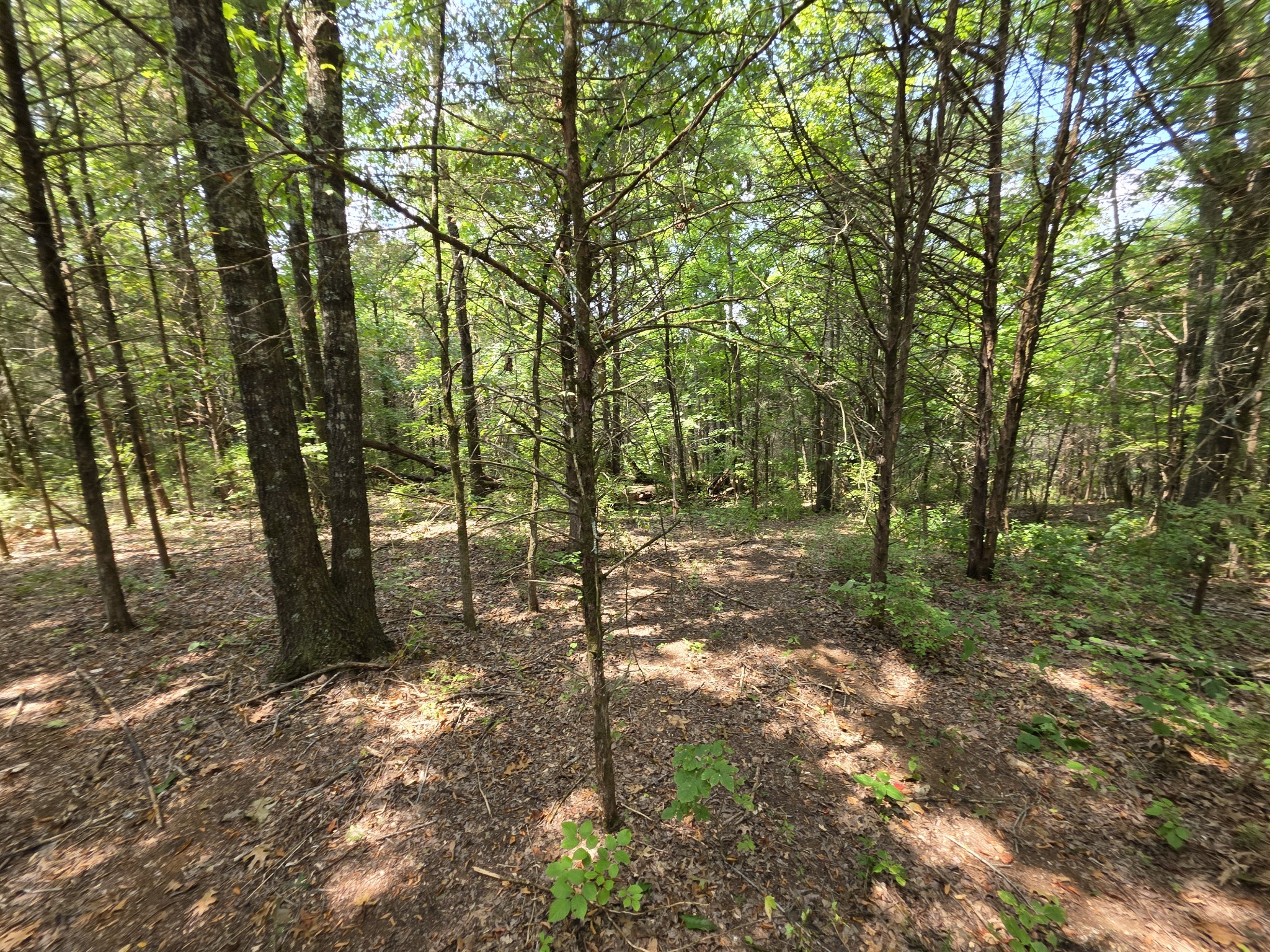 0 Old Hickory Blvd, Nashville, TN 37207