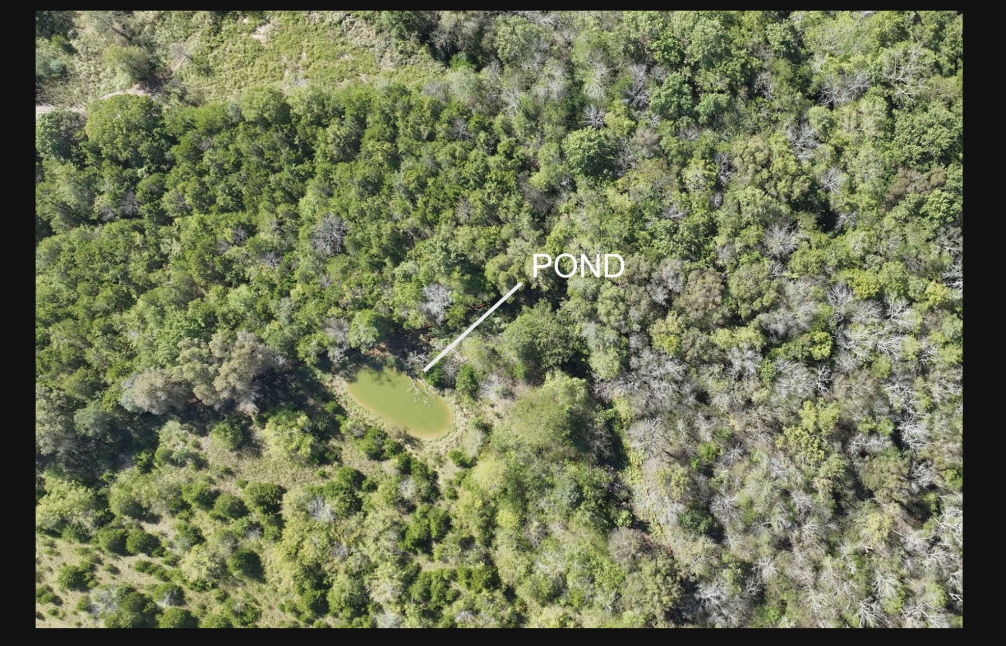 9919 Maupin Rd Lot 7, Brentwood, TN 37027