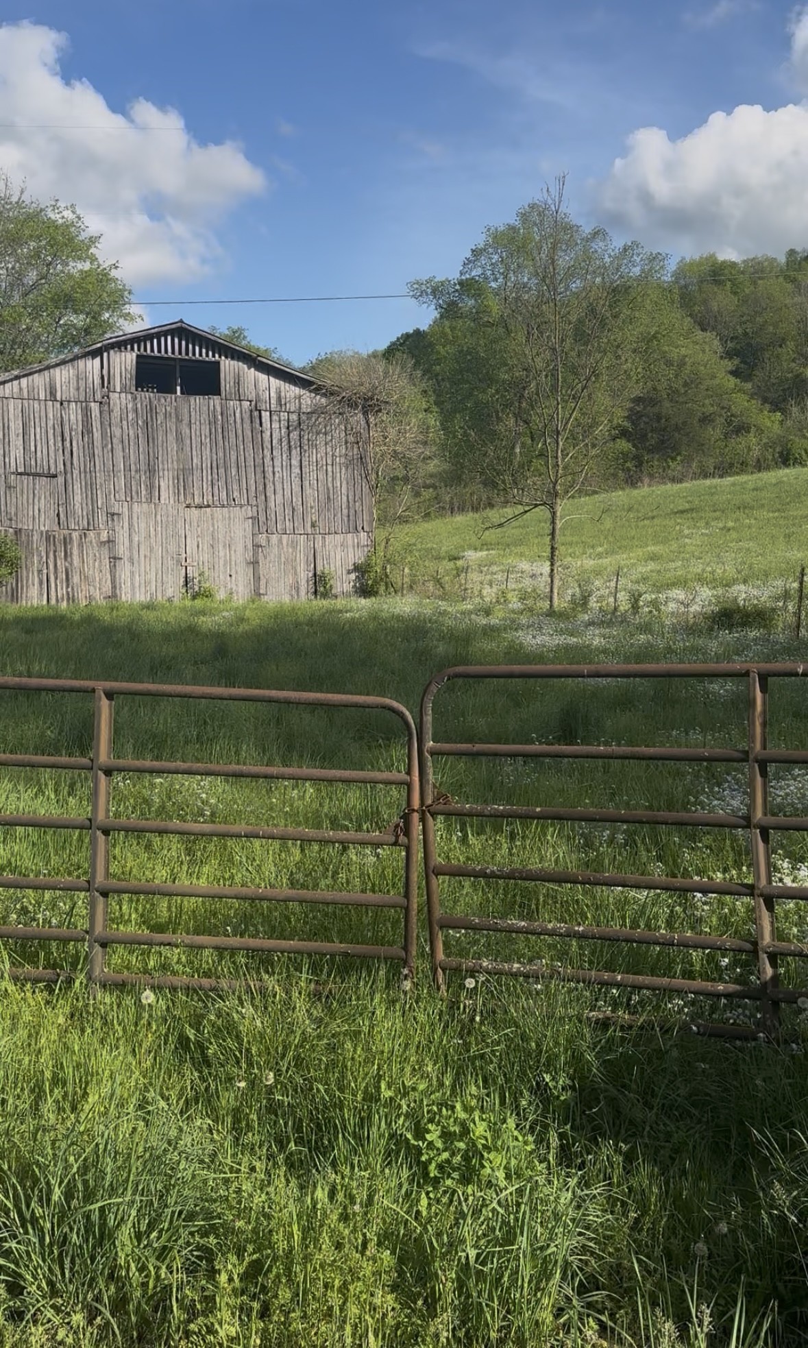 0 Little Salt Lick Rd, Carthage, TN 37030