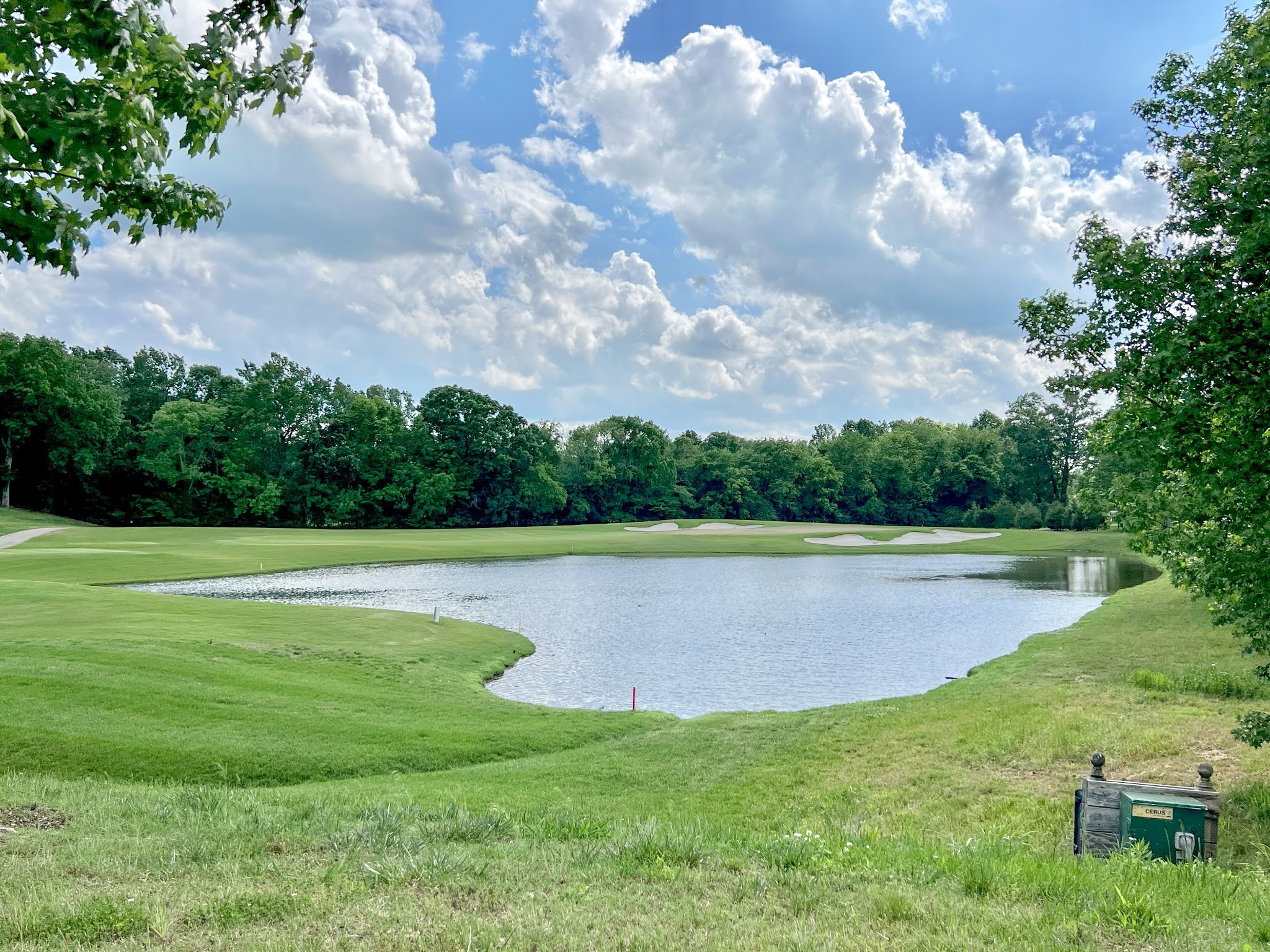 8749 Weller Ln, College Grove, TN 37046
